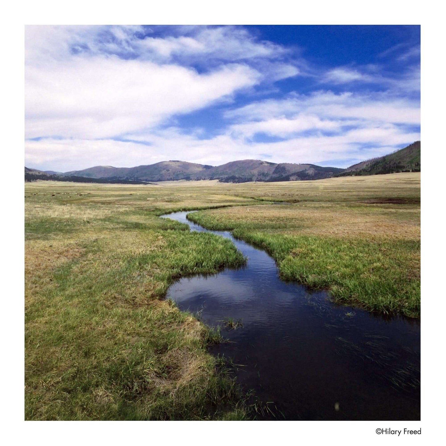 Scenic view of grassy landscape with a winding stream and mountains under a blue sky, captured by Hilary Freed.