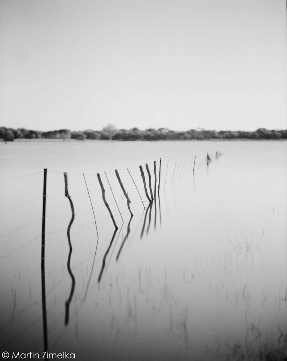 Black and white photograph of a fence reflected in water with a soft-focus background of trees.