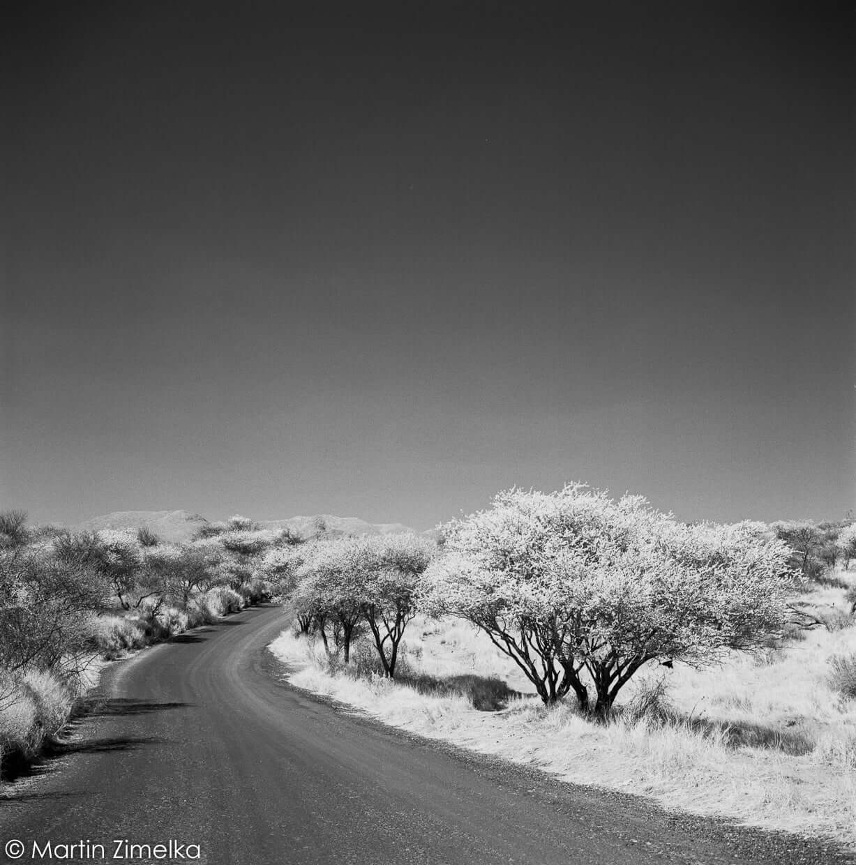 Surreal landscape with winding road and infrared trees captured on Rollei Infrared BW 120 Roll Film.