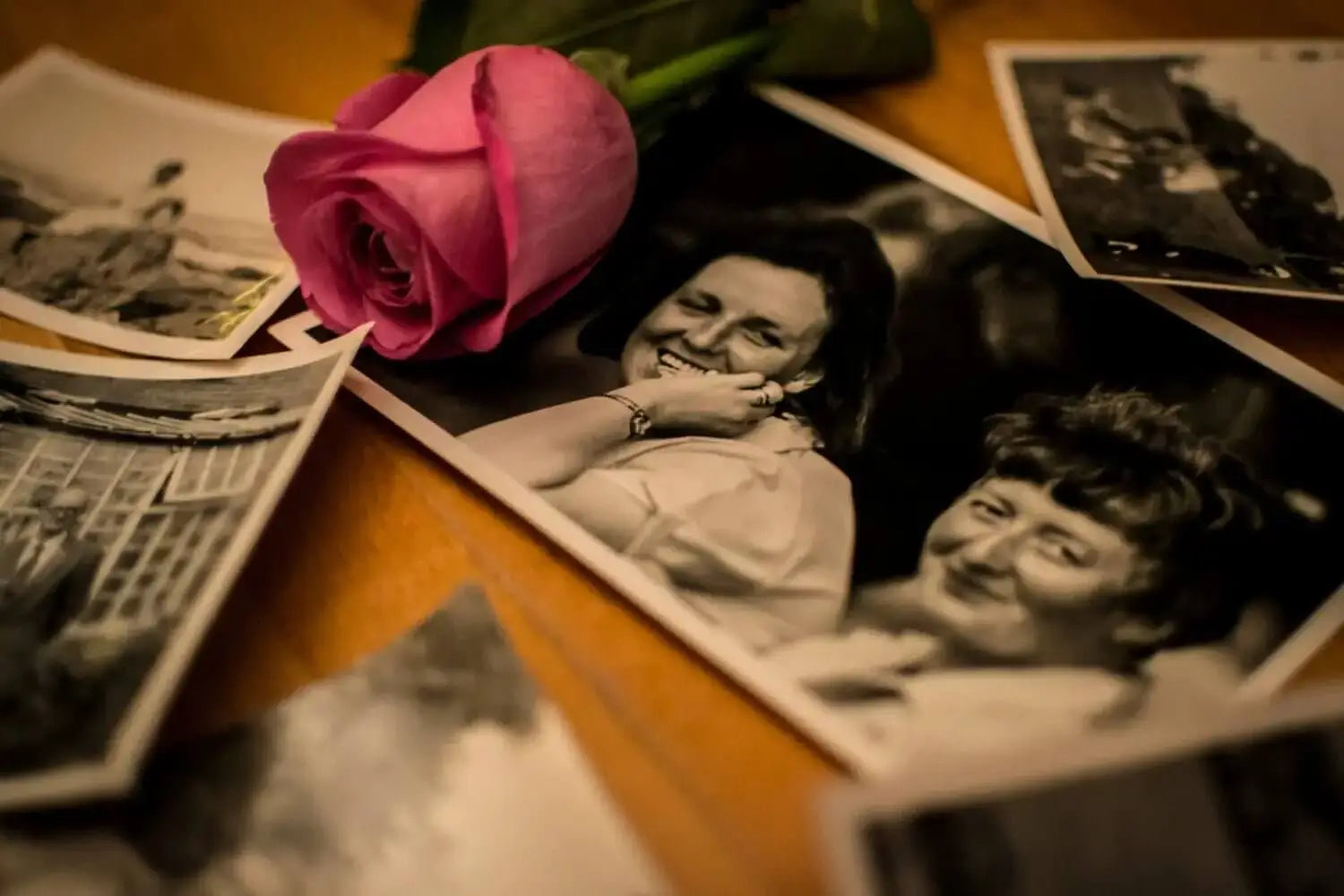 A vibrant pink rose with soft, layered petals rests atop a collection of vintage black-and-white photographs.