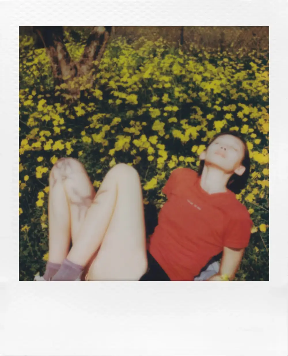 A person wearing a red shirt and purple socks holds a polaroid go generation 3 instant film camera in hand