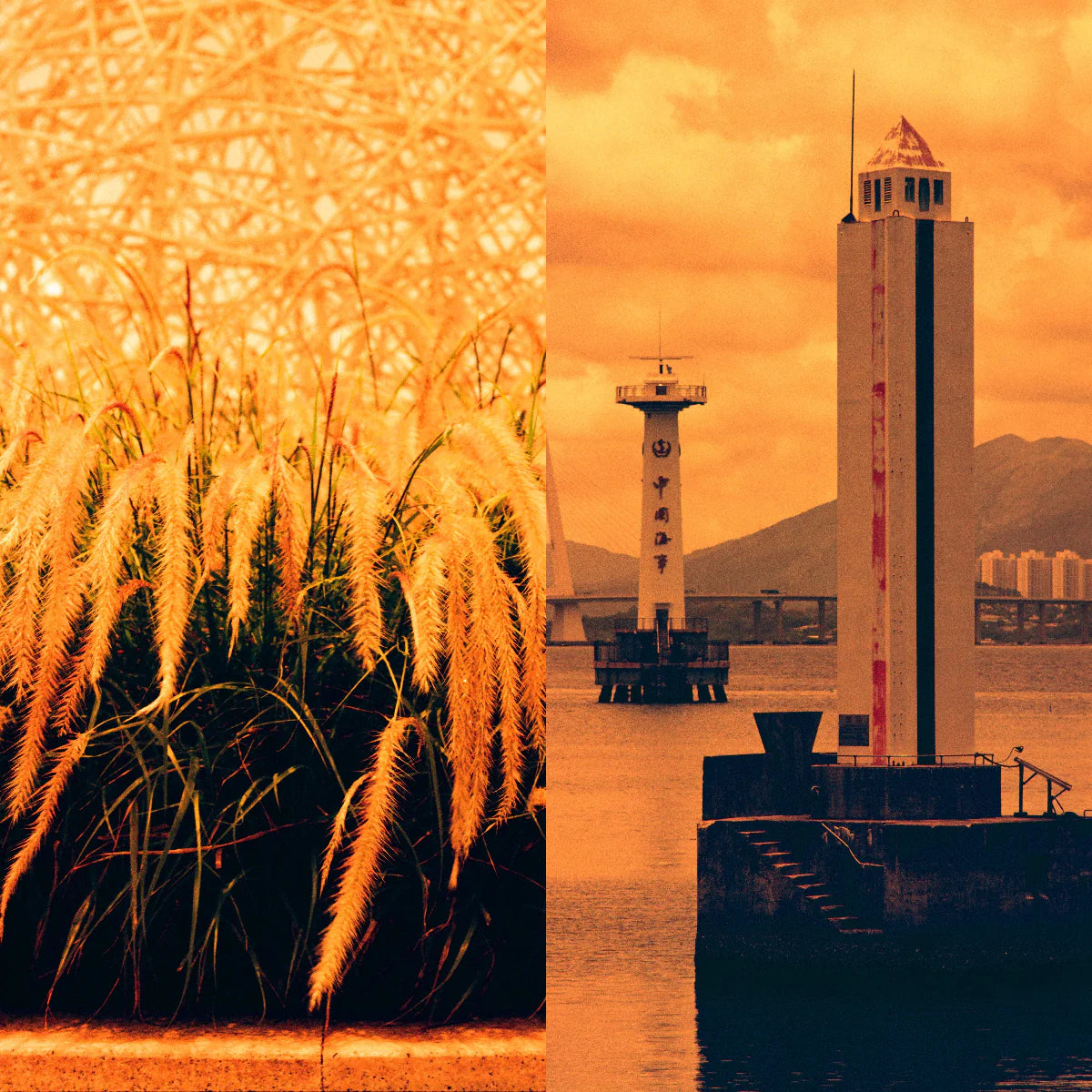 Reflx Lab Diablo 100 Red Scale Film 35x36