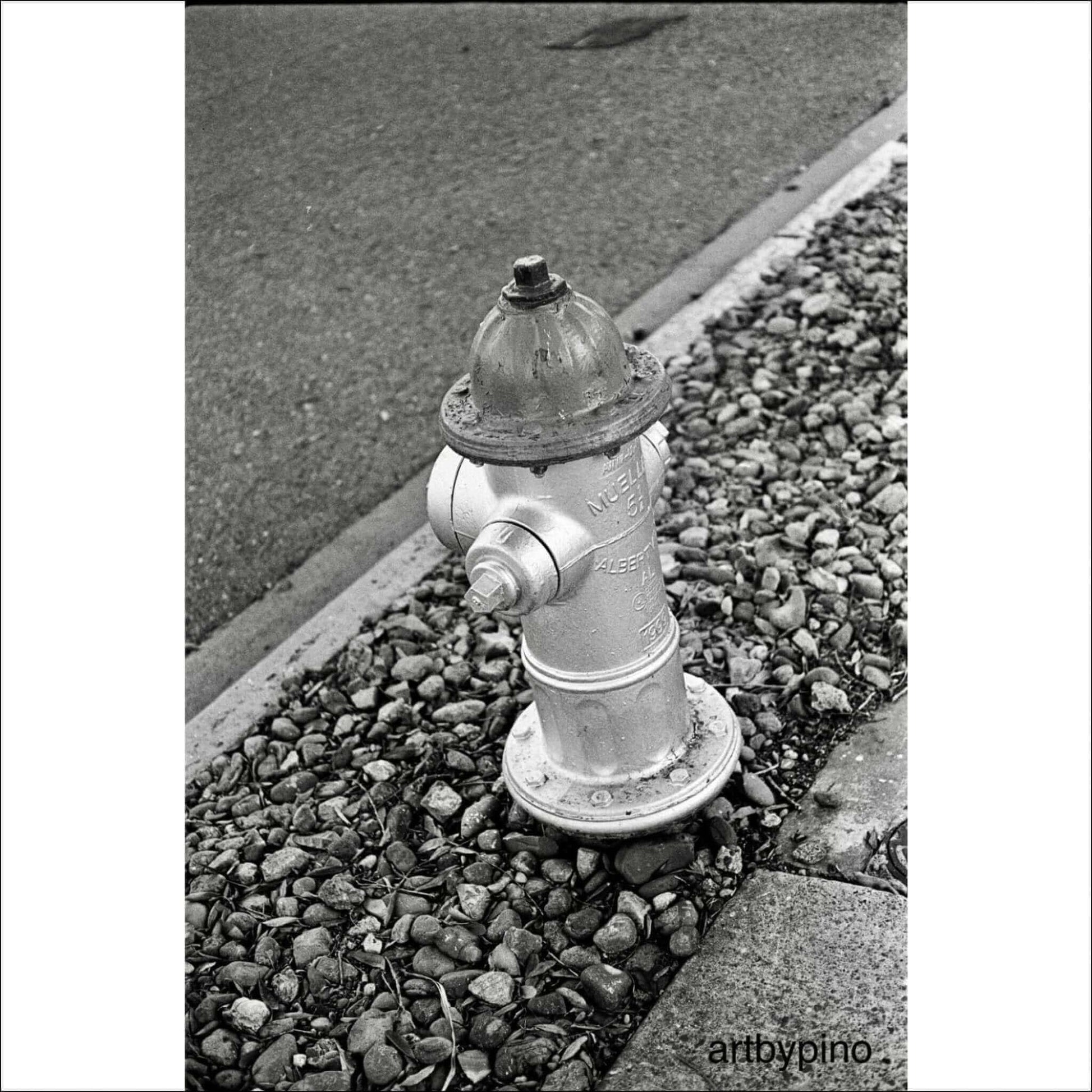 Silver fire hydrant on a rocky street edge in black and white, showcasing urban infrastructure.