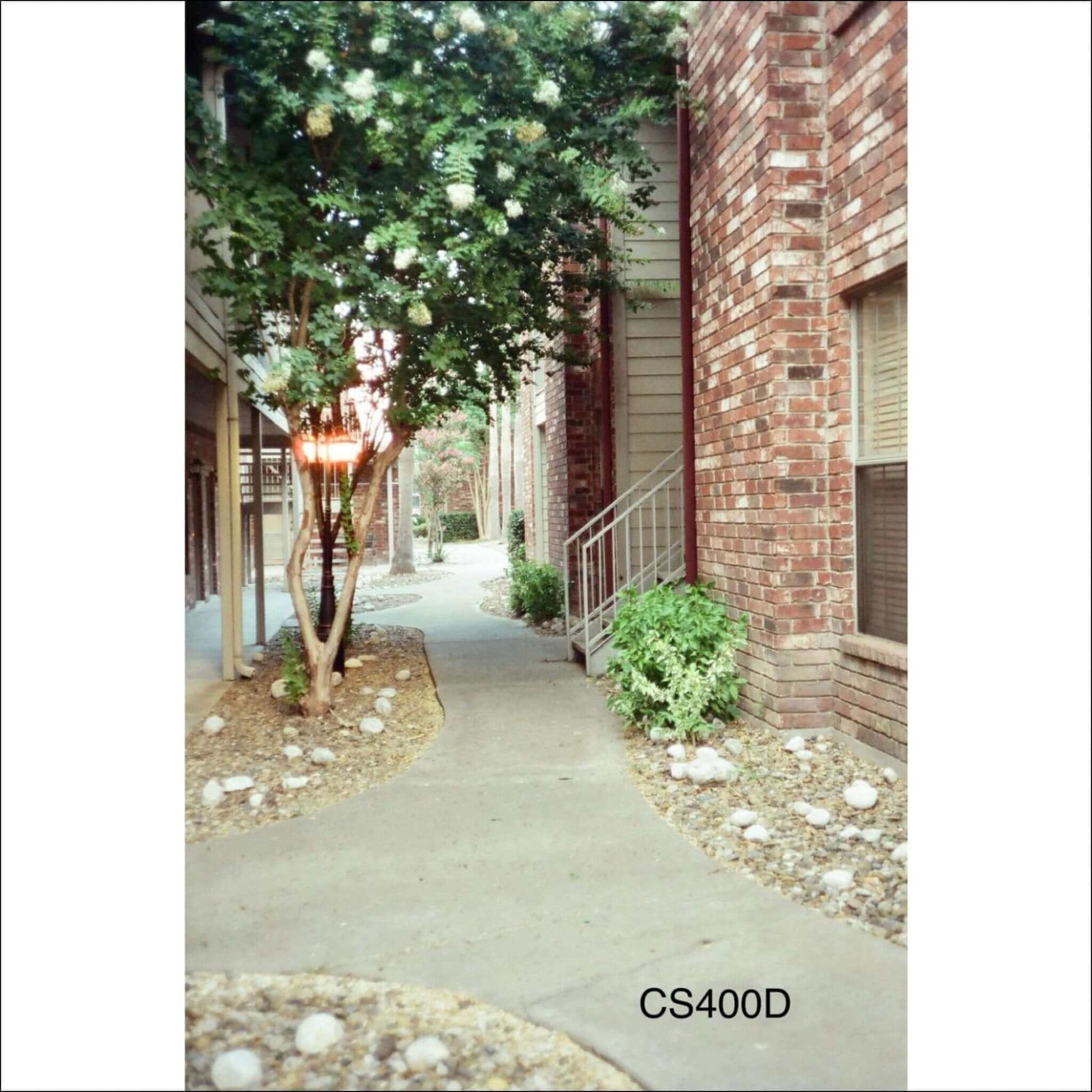 Rustic outdoor pathway with trees and brick buildings, showcasing soft colors captured on Cinestill 400D film.