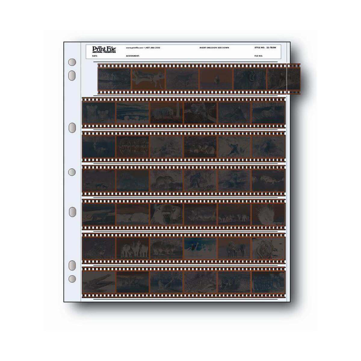 Print File 35mm archival sleeve displaying 6 frames per row and 7 rows for negative storage, ideal for quality contact sheets.